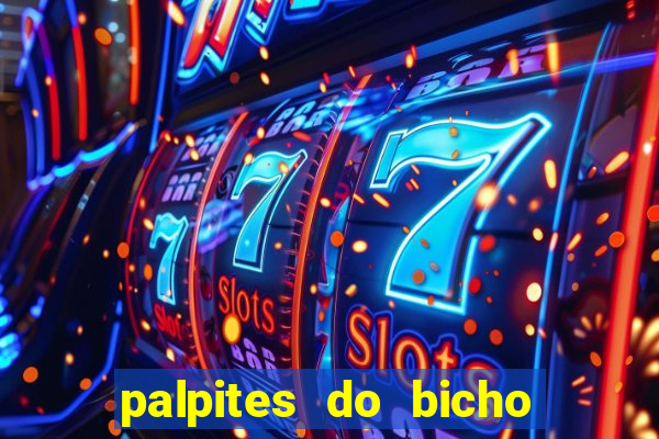 palpites do bicho no celular